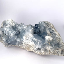 Load image into Gallery viewer, CELESTITE 