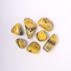 BUMBLE BEE JASPER