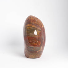 Load image into Gallery viewer, PETRIFIED WOOD FREEFORM